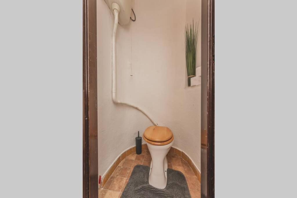 Carolina'S Central Apartment Hradec Kralove Exterior photo